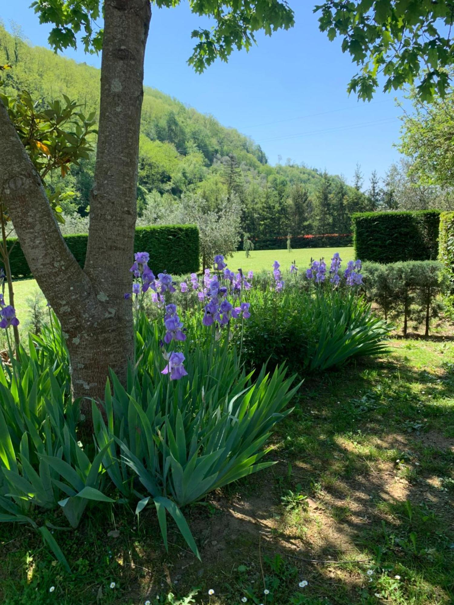 Podere Campofossato Pistoia Exterior foto