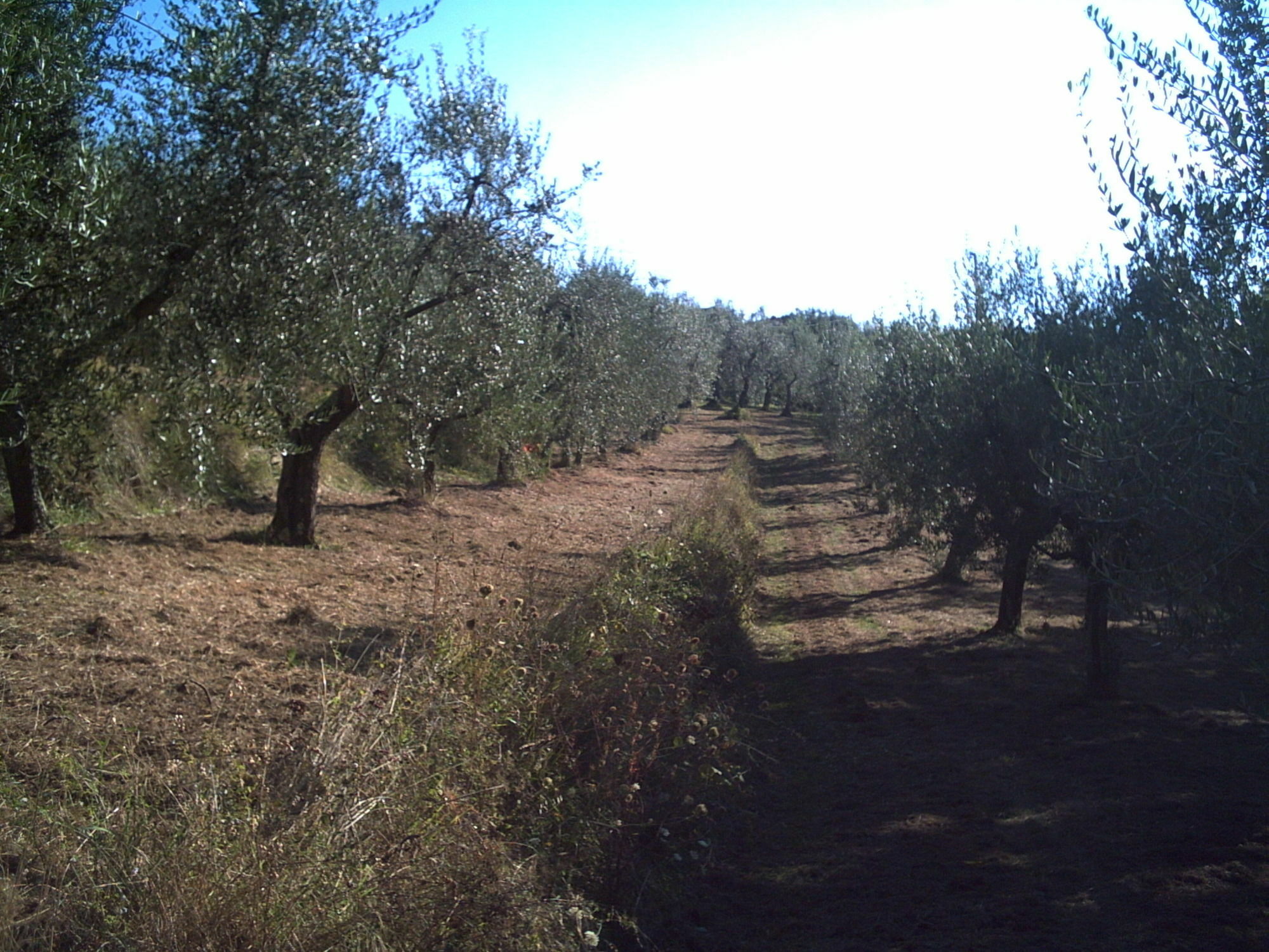 Podere Campofossato Pistoia Exterior foto